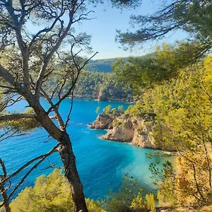 T3 Cyr Sur 83270 Saint-Cyr-sur-Mer